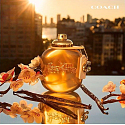 Coach Gold Parfum parfém pro ženy 90 ml