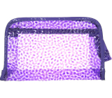 Etue Průhledná kosmetická kabelka fialová 25 x 16 x 6 cm 1 kus