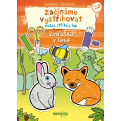 Ditipo Začínáme vystřihovat Zvířátka v lese kreativní sešit 17,5 x 24,1 x 0,8 cm, věk 3+