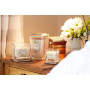 Yankee Candle Citrus Grove - Citrusový háj sojová vonná svíčka Elevation velká sklo 2 knoty 552 g