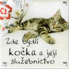 Albi Magnet Zde bydlí kočka a její služebnictvo 6,5 x 6,5 cm