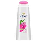 Dove Aloe Vera & Rose Water 2v1 hydratační šampon na vlasy 400 ml