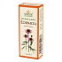 Grešík Echinacea kapky na podporu přirozené obranyschopnosti 50 ml