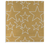 Zöwie Dárkový balicí papír 70 x 150 cm Vánoční Nordic Light zlatý - bílé hvězdy