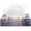 Big Soft Deluxe kosmetické ubrousky 2vrstvé 170 kusů