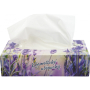Big Soft Deluxe kosmetické ubrousky 2vrstvé 170 kusů