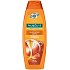Palmolive Naturals Milk & Honey šampon pro suché vlasy 350 ml