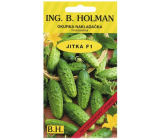 Holman F1 Jitka okurky nakládačky seté hruboostné 2 g