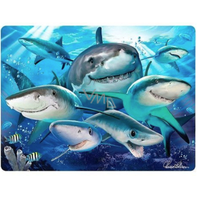 Prime3D pohlednice - Žralok Selfie 16 x 12 cm