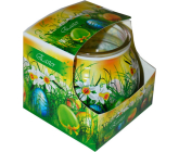 Admit Easter Green dekorativní aromatická svíčka ve skle 80 g