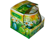 Admit Easter Green dekorativní aromatická svíčka ve skle 80 g