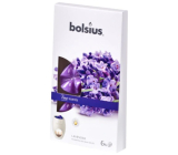 Bolsius Aromatic True Scents Lavender - Levandule vonný vosk do aromalampy 6 kusů
