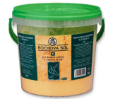 Drutep Rochova sůl PI 1 kg kbelík