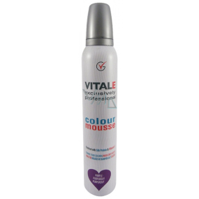 Vitale Exclusively Professional barvící pěnové tužidlo s vitaminem E Purple - Purpurový 200 ml