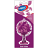 Mister Fresh Car Parfume Berries osvěžovač vzduchu závěsný 7,5 g