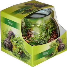 Admit Pine dekorativní aromatická svíčka ve skle 80 g