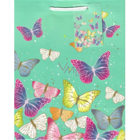 Ditipo Dárková papírová taška 18 x 23 x 10 cm zelená barevní motýli