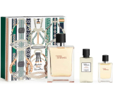 Hermes Terre D Hermes toaletní voda 100 ml + toaletní voda 12,5 ml + voda po holení 40 ml, dárková sada pro muže