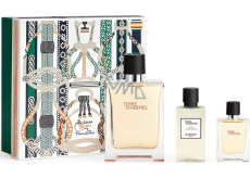 Hermes Terre D Hermes toaletní voda 100 ml + toaletní voda 12,5 ml + voda po holení 40 ml, dárková sada pro muže