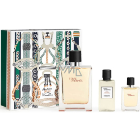 Hermes Terre D Hermes toaletní voda 100 ml + toaletní voda 12,5 ml + voda po holení 40 ml, dárková sada pro muže