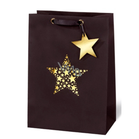 BSB Luxusní dárková papírová taška 36 x 26 x 14 cm Vánoční Star Festival VDT 417 - A4