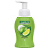 Palmolive Magic Softness Lemon & Mint pěnový tekutý přípravek na mytí rukou dávkovač 250 ml 12 kusů karton