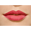 Catrice Matt Lip Artist 6hr rtěnka 030 Barberry Hopping 3 g