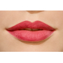 Catrice Matt Lip Artist 6hr rtěnka 030 Barberry Hopping 3 g