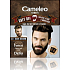 Delia Cosmetics Cameleo Men Grey Off barva na vlasy, vousy a knír 3.0 Tmavě hnědá 2 x 15 ml