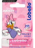 Labello Velvet Rosé Daisy Disney balzám na rty pro děti 4,8 g, věk 3+