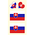 Arch Tetovací obtisky na obličej i tělo Slovensko vlajka 3 motiv