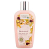 Bohemia Gifts Castanum Extrakt z kaštanu koňského regenerační sprchový gel 250 ml