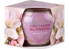Emocio Dekor Orchard Blossom - Ovocný květ vonná svíčka sklo 70 x 62 mm 85 g