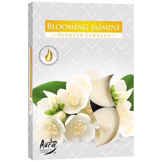 Bispol Aura Blooming Jasmine - Kvetoucí jasmín vonné čajové svíčky 6 kusů