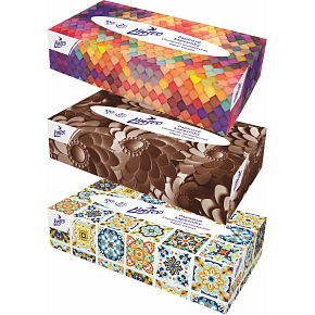 Linteo 2vrstvé papírové kapesníky, box 100 ks Linteo 2vrstvé papírové kapesníky, box 100 ks
