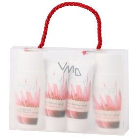 Ryor Normální pleť dárková taška mléko 50 ml + 2 x krém 30 ml + tonikum 50 ml