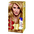 Wella Wellaton pěnová barva na vlasy 8/3 Světlá zlatá blond