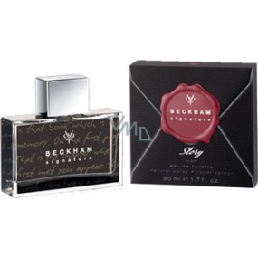 David Beckham Signature Story Men toaletní voda 50 ml