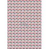 Ditipo Dárkový balicí papír 70 x 100 cm Bílý červené, černé a šedé motýlky 2 archy
