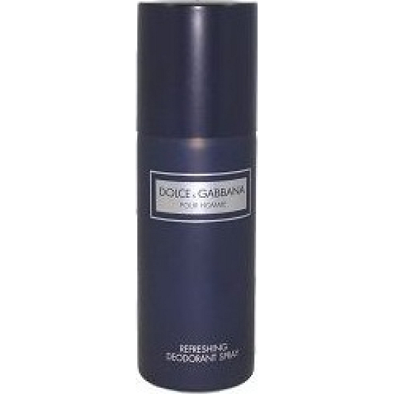 Dolce & Gabbana pour Homme deodorant sprej pro muže 150 ml