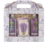 Bohemia Gifts Lavender sprchový gel 100 ml + olejová lázeň 100 ml + vonná karta, kosmetická sada pro ženy