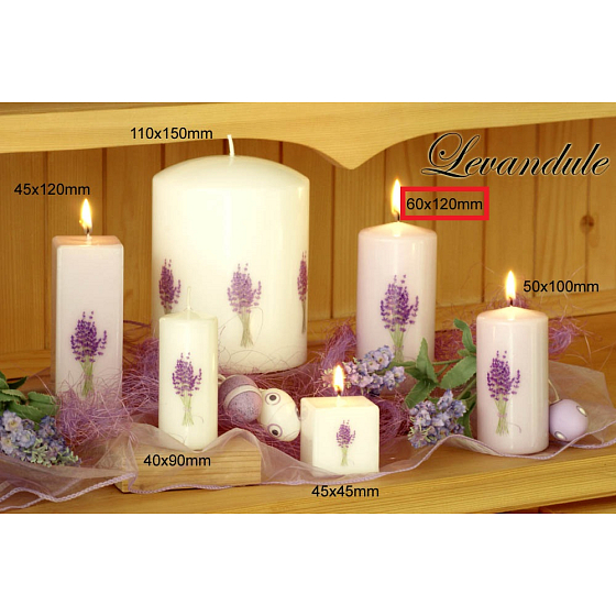 Lima Květina Levandule vonná svíčka bílá s obtiskem levandule válec 60 x 120 mm 1 kus