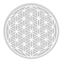 Masaru Emoto Cotula mísa velká Květ života s bílým symbolem 23 cm