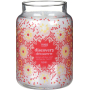 Yankee Candle Discovery Scent of the Year 2021 - Objevujte! Vůně roku 2021 vonná svíčka Classic velká sklo 623 g