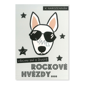 Albi Hrací přání Život hvězdy Cover verze - I love rock ´n´ roll 14,8 x 21 cm