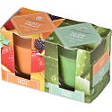 Emocio Tasty Fruit & Aloe Vera vonná svíčka sklo 52 x 65 mm 2 kusy v krabičce