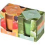 Emocio Tasty Fruit & Aloe Vera vonná svíčka sklo 52 x 65 mm 2 kusy v krabičce