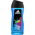 Adidas Team Five 2v1 sprchový gel na tělo a vlasy pro muže 250 ml