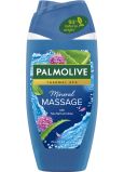 Palmolive Thermal Spa Mineral Massage sprchový gel 250 ml