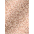 Ditipo Dárkový balicí papír 70 x 100 cm Trendy Colours měděný - měděné větvičky 2 archy